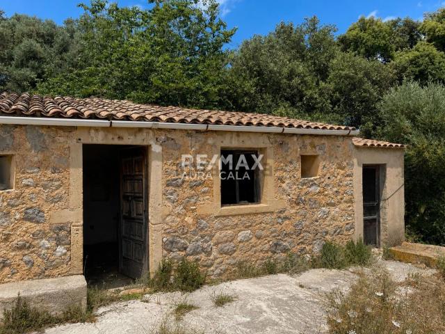 Chalet, Arta