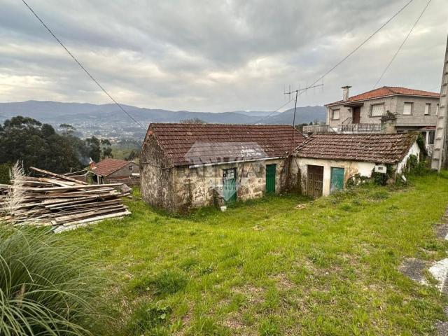 Chalet, Arbo