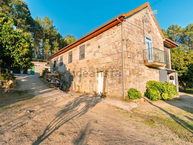 Chalet, Arbo