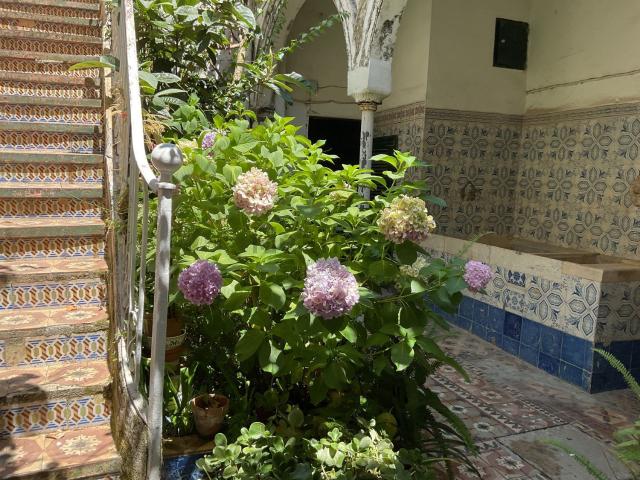 Chalet, Arenys de Mar