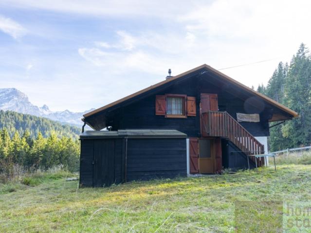 Chalet autonome avec vue panoramique – 5 chambres à Villars Ollon