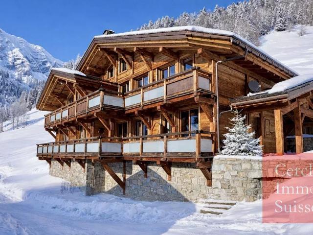 Chalet au pied des pistes de ski