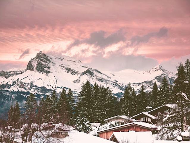 Chalet avec terrasse