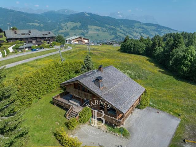 Chalet avec terrasse