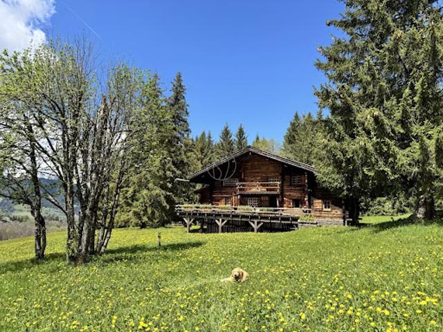 Chalet avec vue panoramique