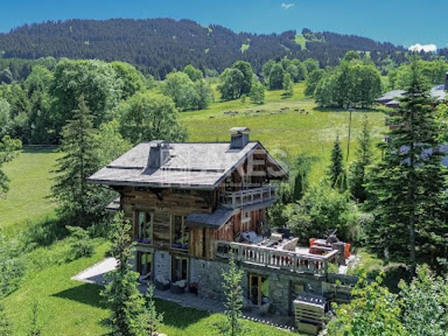 Chalet avec vue panoramique et terrasse