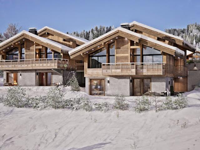 Chalet avec vue panoramique et terrasse