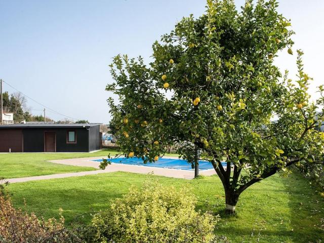 Chalet, Barro