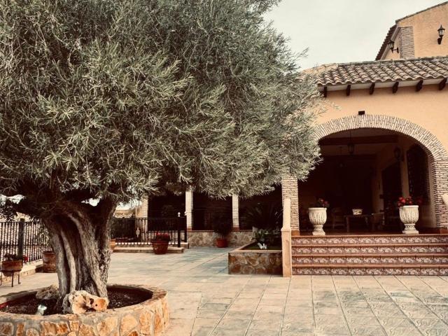 Chalet, Bigastro