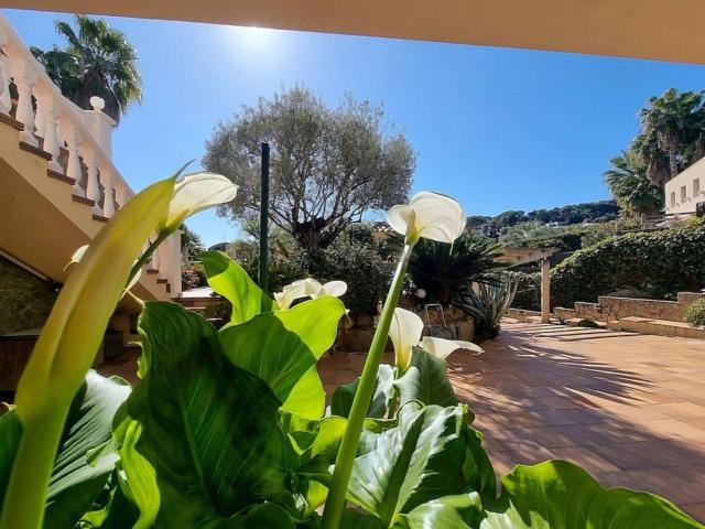Chalet, Blanes