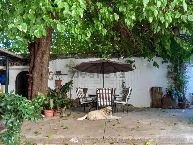 Chalet, Brozas