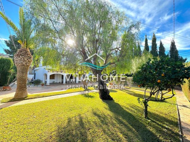 Chalet, Busot