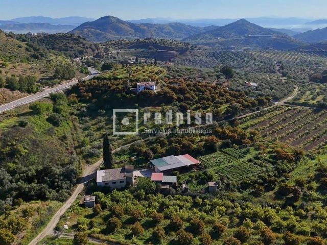 Chalet, Guaro