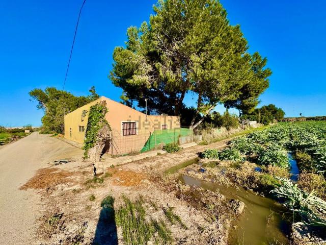 Chalet, Guardamar del Segura