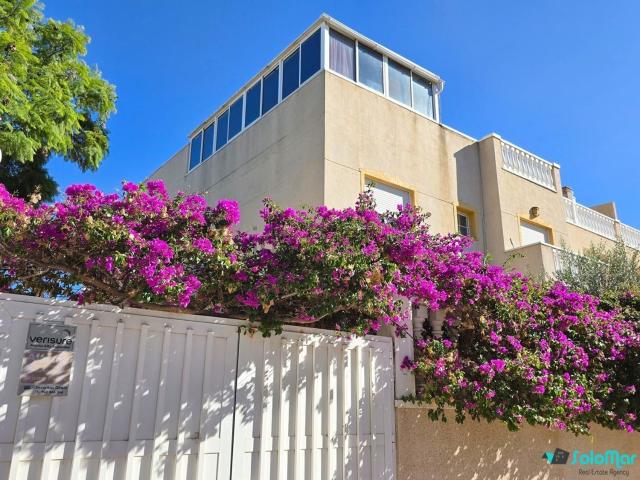 Chalet, Guardamar del Segura