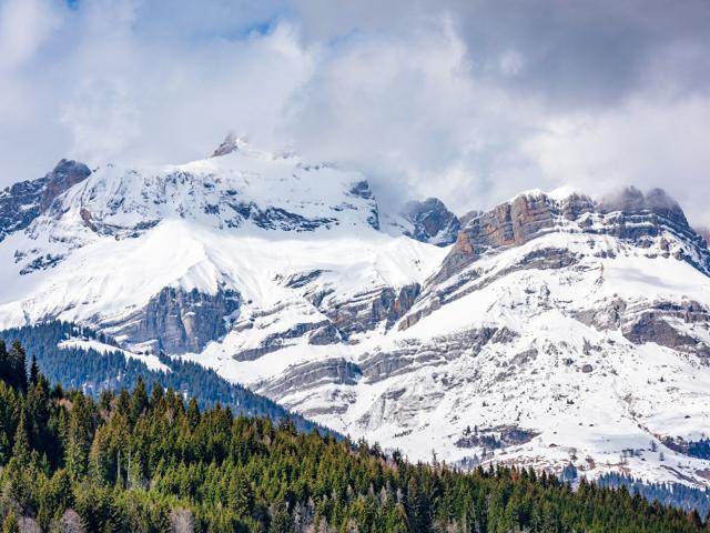 Chalet d'exception entre clairière et horizon 420m² Demi Quartier
