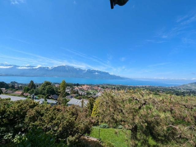 Chalet de 8 pièces sur 3 niveaux