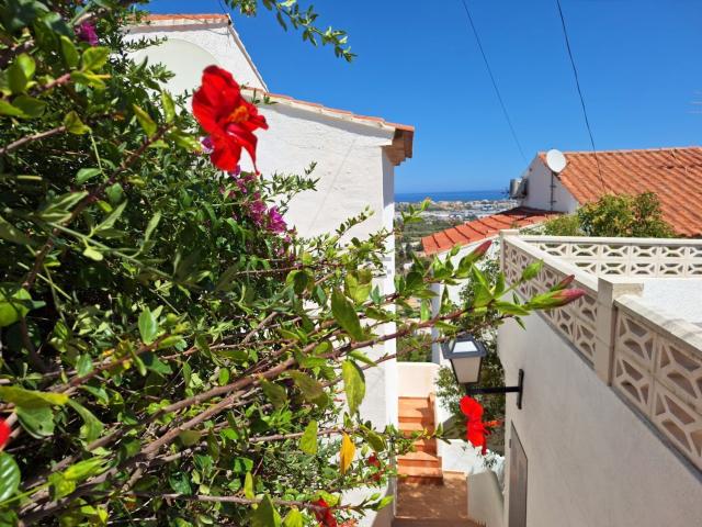 Chalet, Denia