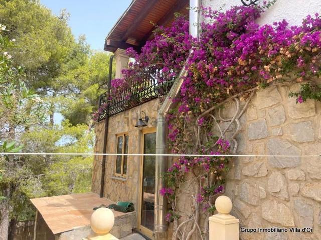 Chalet, Denia