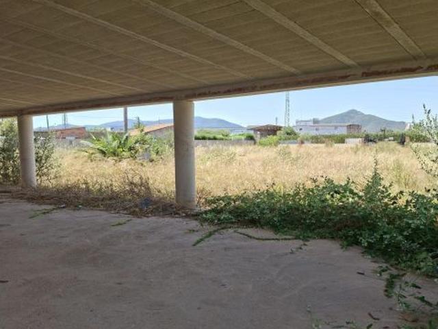 Chalet en Amposta Oportunidad de Inversión para Reformar