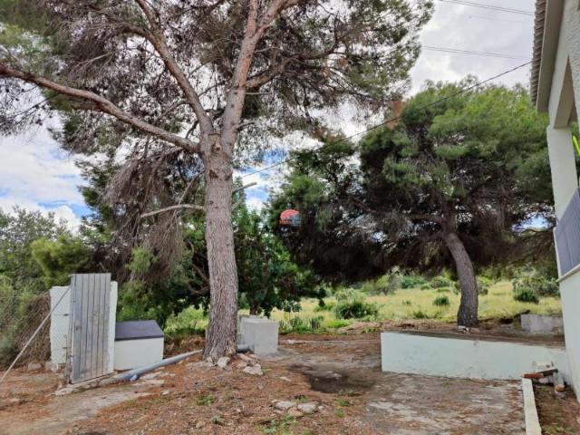 Chalet en alquiler en Sagunto, Sagunto
