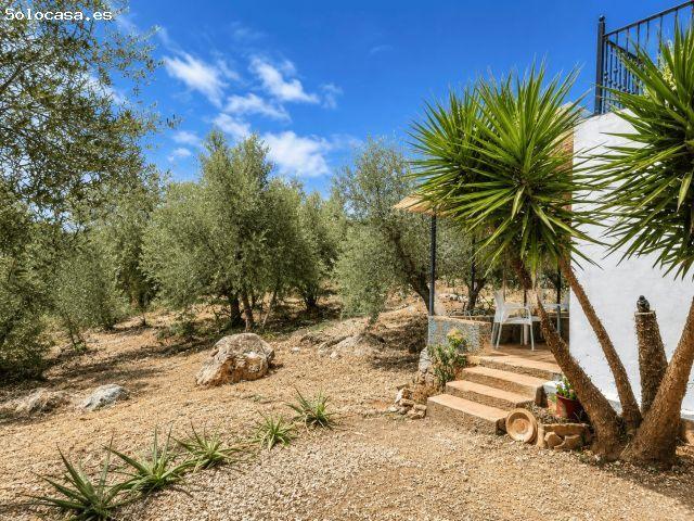Chalet en Alquiler en Periana, Málaga