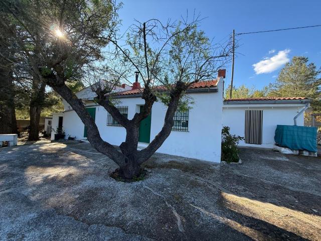 Chalet en Buñol