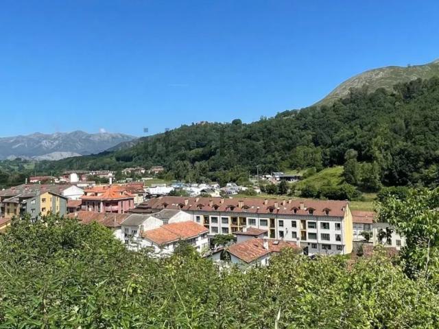 Chalet en venta. CANGAS DE ONíS