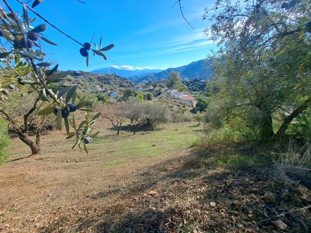 Chalet en venta en Colmenar. Chalets.