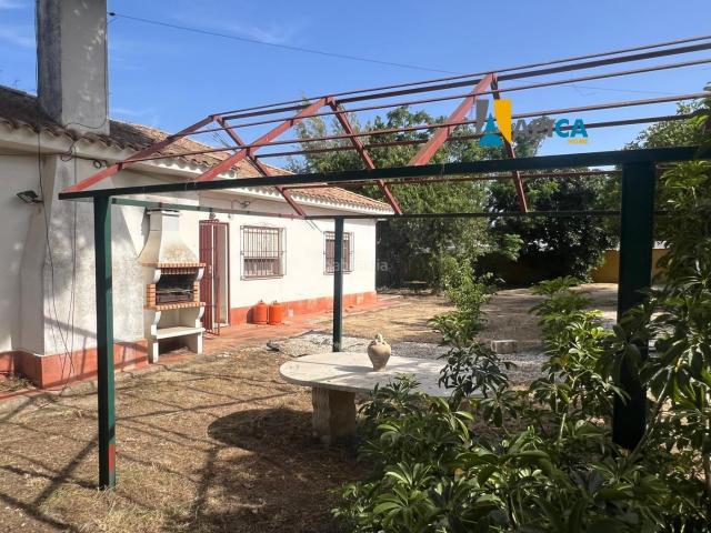 Chalet en venta en Conil de la Frontera, Barrio Nuevo. Finca segregada de 2.800 m con chalet, apartamento y piscina en Barrio Nuevo Conil. Chalets Conil de la.