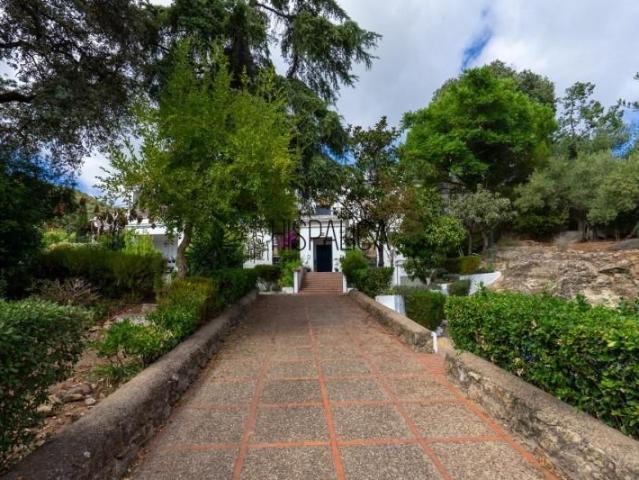 Chalet en venta en Córdoba