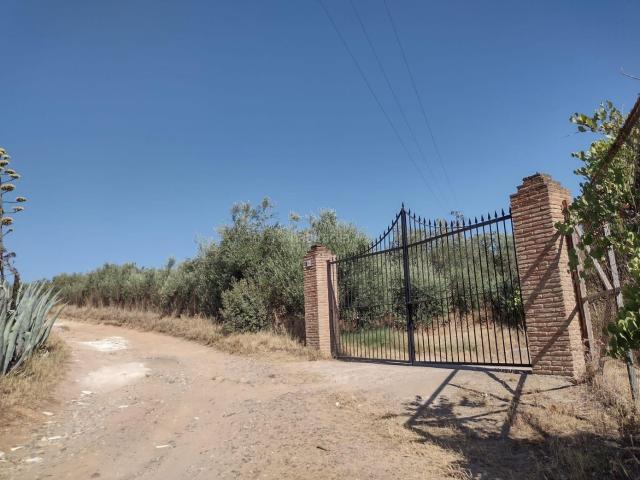 Chalet en venta en Cantillana. MAGNIFICA PARCELA DE CASI DOS HECTAREAS, CON CHALET Y PISCINA. Chalets.