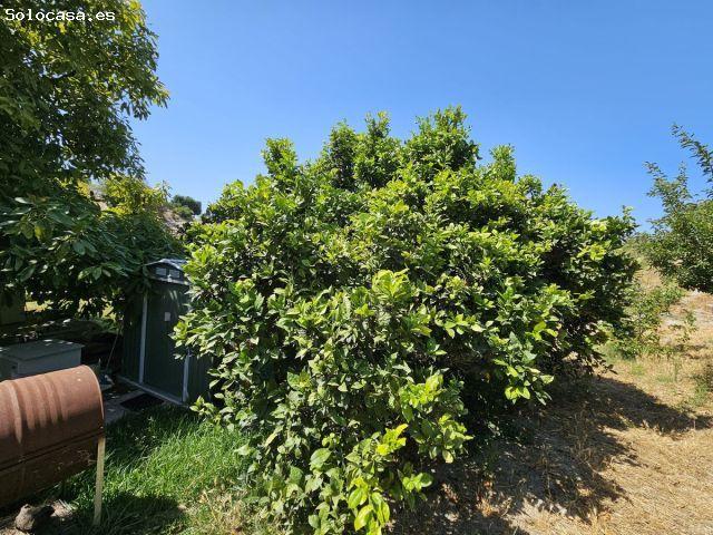 Chalet en Venta en Casares, Málaga
