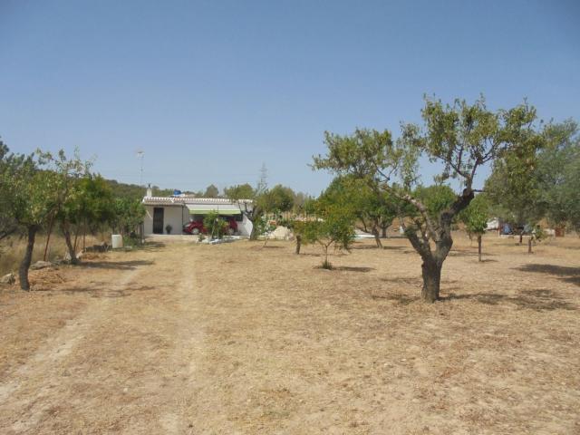 Chalet en venta en Casinos. Chalets.