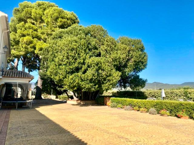 Chalet en venta en Castalla. Chalets.