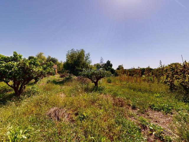 Chalet en venta en Cheste. VENTA CHALET CHESTE. Chalets.