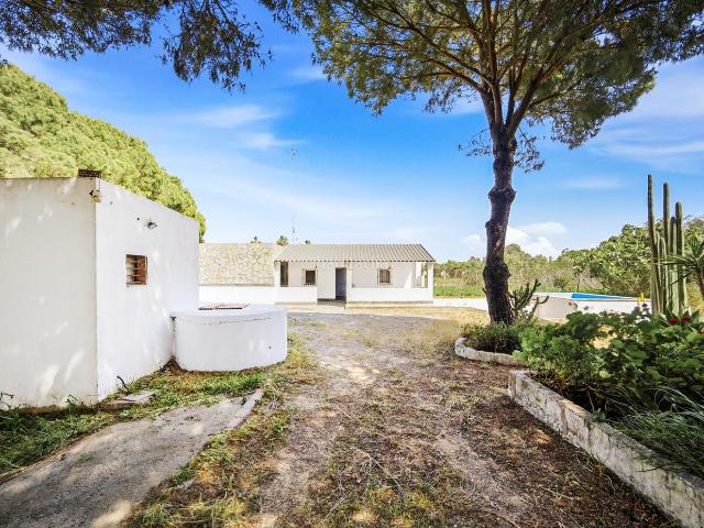 Chalet en venta en Chiclana de la Frontera, Los Franceses La Vega. INCREIBLE PARCELA CON VIVIENDA EN EL MARQUESADO. Chalets Chiclana de la.