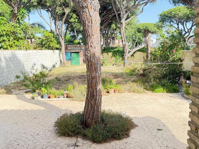 Chalet en venta en Chiclana de la Frontera, La Barrosa. Casa o chalet independiente en venta en La Barrosa. Chalets Chiclana de la.