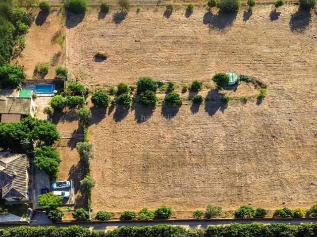 Chalet en venta en Chiclana de la Frontera, Pelagatos Pago del Humo. INCREIBLE FINCA CON DOS VIVIENDAS Y PISCINA EN 8.320M2. Chalets Chiclana de la.