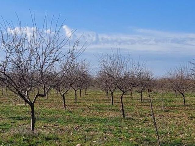 Chalet en venta en Ciudad Real, Ciudad Real
