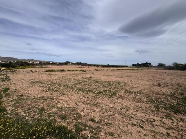 Chalet en venta en Crevillent, Cami de Catral