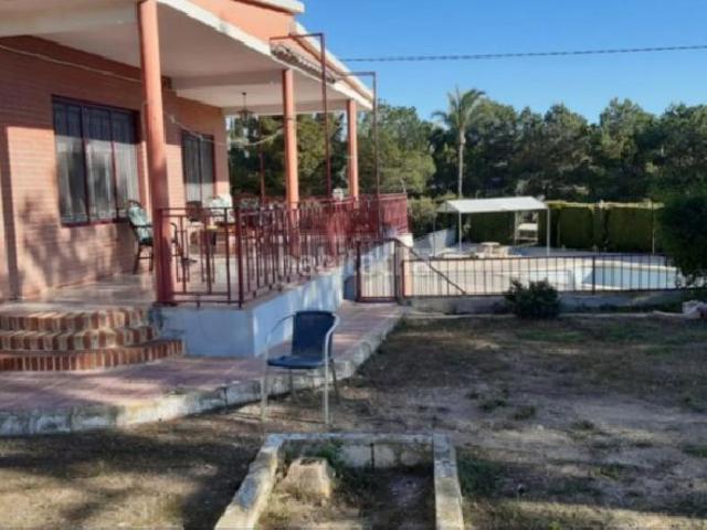 Chalet en venta en Crevillente. !CDATAChalet en Crevillente con Piscina y 4.500m de Parcela con Pinada. Chalets.