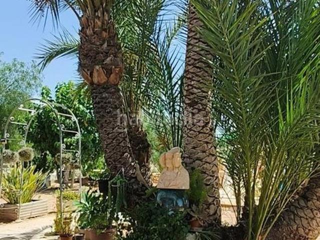 Chalet en venta en Crevillente. FANTASTICO CHALET ENTRE ELCHE Y CREVILLENTE. Chalets.
