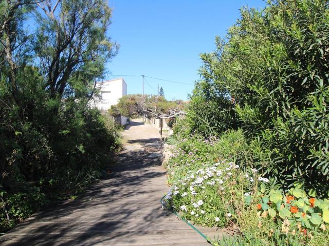 Chalet en venta en Cullera, El Dossel Mareny de San Lorenzo. CASA DE CAMPO CON FINCA RÚSTICA. Chalets.