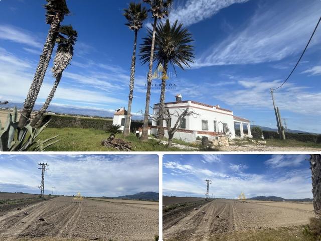 Chalet en venta en Amposta, Eucaliptus Poble Nou del Delta Costa Dorada. AmpostaChalet. Chalets.