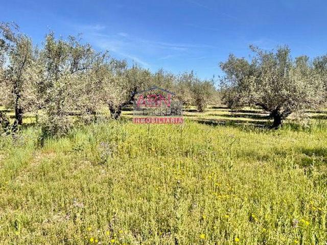 Chalet en venta en Albaida, Albaida
