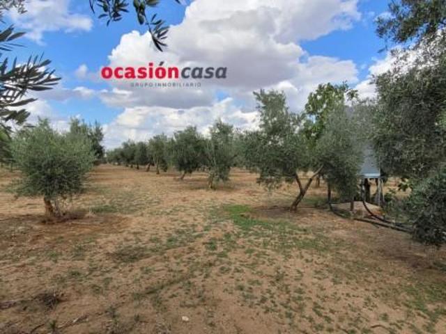 Chalet en venta en Alcaracejos, Alcaracejos