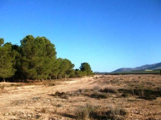 Chalet en venta en Aledo, Aledo