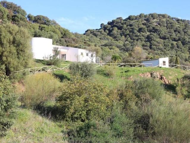 Chalet en venta en Algodonales, Algodonales