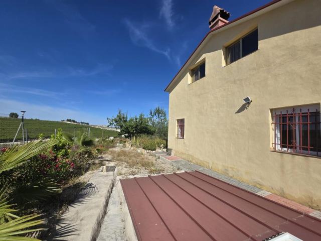 Chalet en venta en Alguazas. Gran Chalet en Alguazas. Chalets.